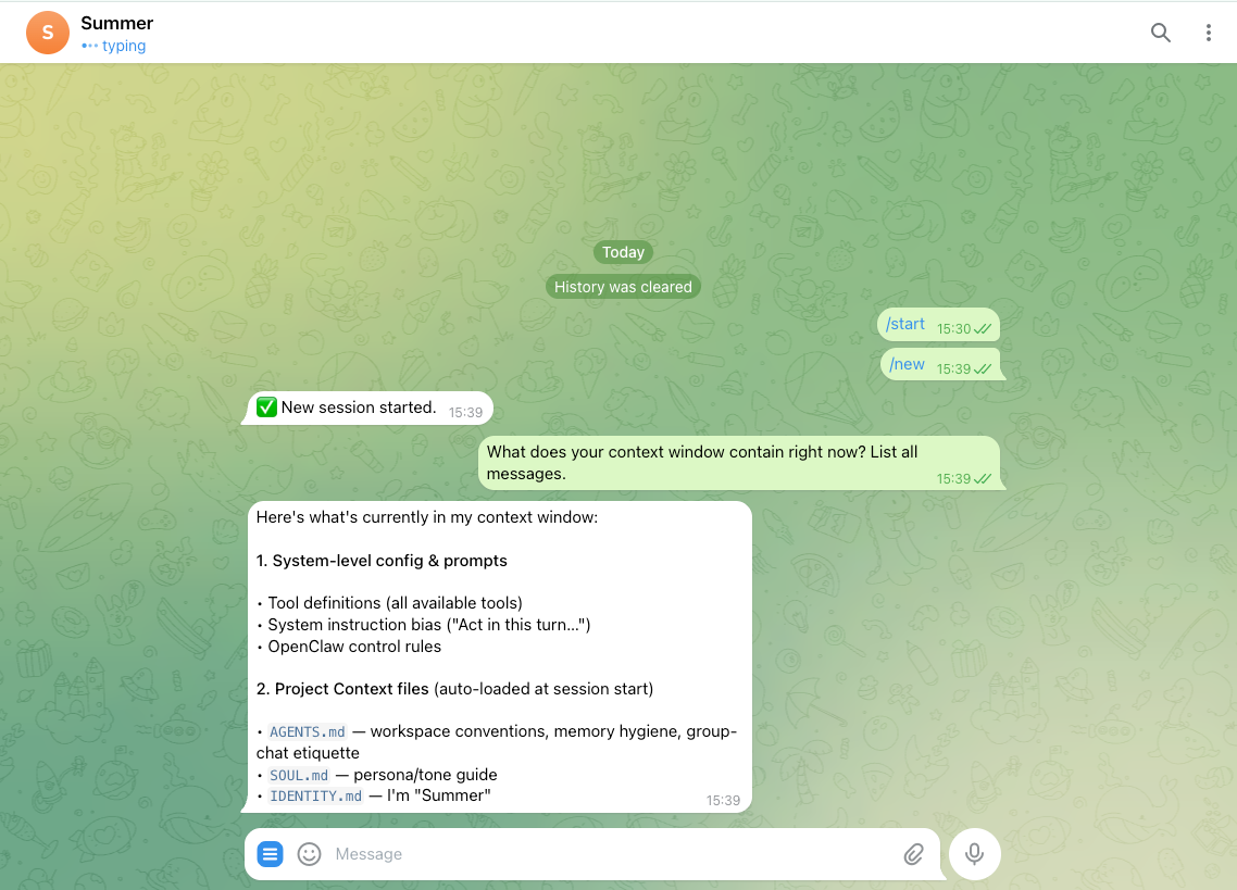 Inspecting context window messages in an agent workflow